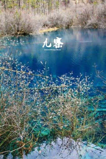 主流外资机构最新表态:维持“高配”A股建议 关注政策加码发力