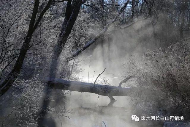 逃出上锁的现代房间7