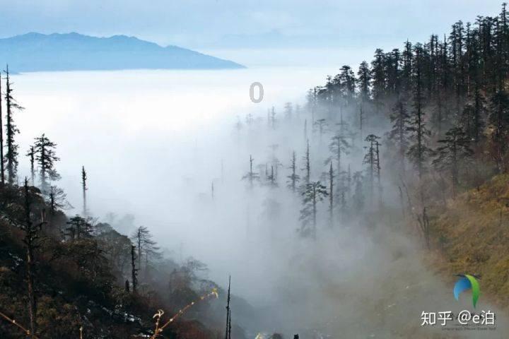 单间木屋逃脱