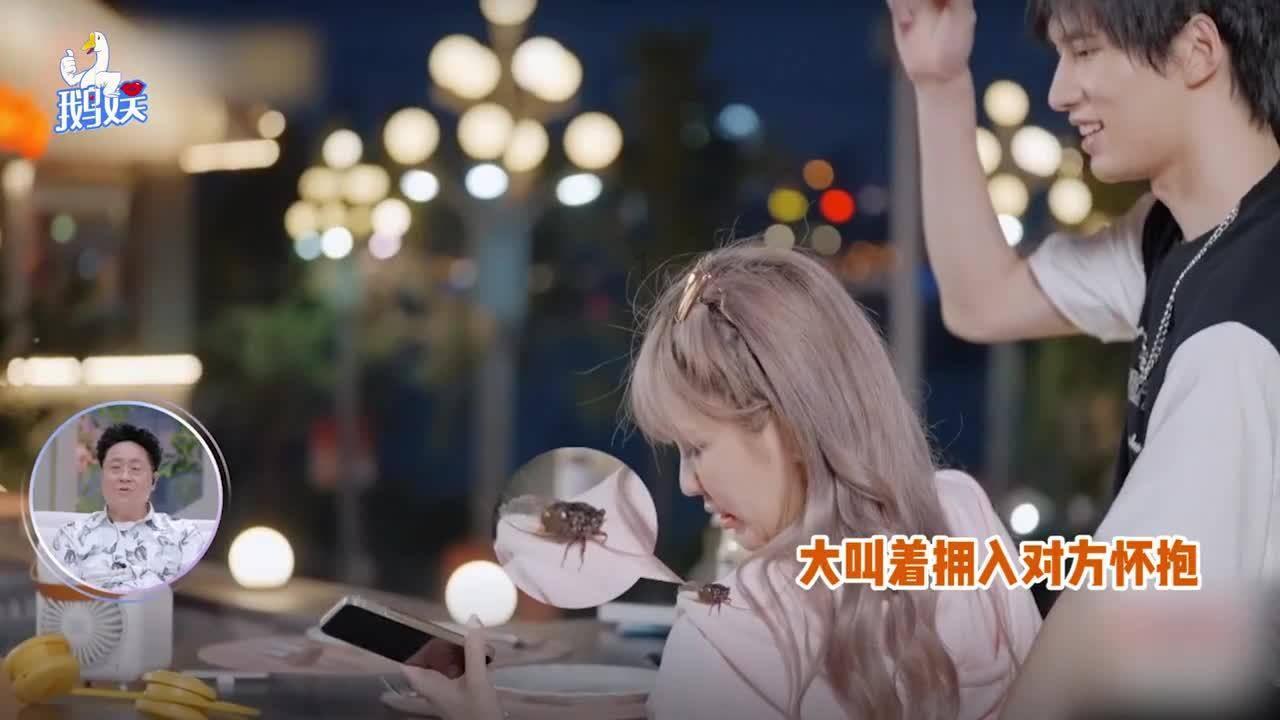 小猫钓鱼游戏龙王版有船