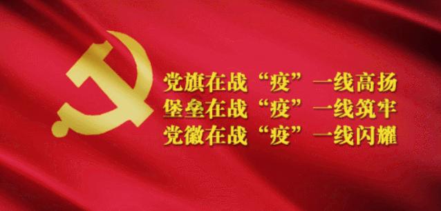巴南区代表团建议：将中国（重庆）—东盟物流行业合作会议纳入全市西部陆海新通道系列活动统筹举办