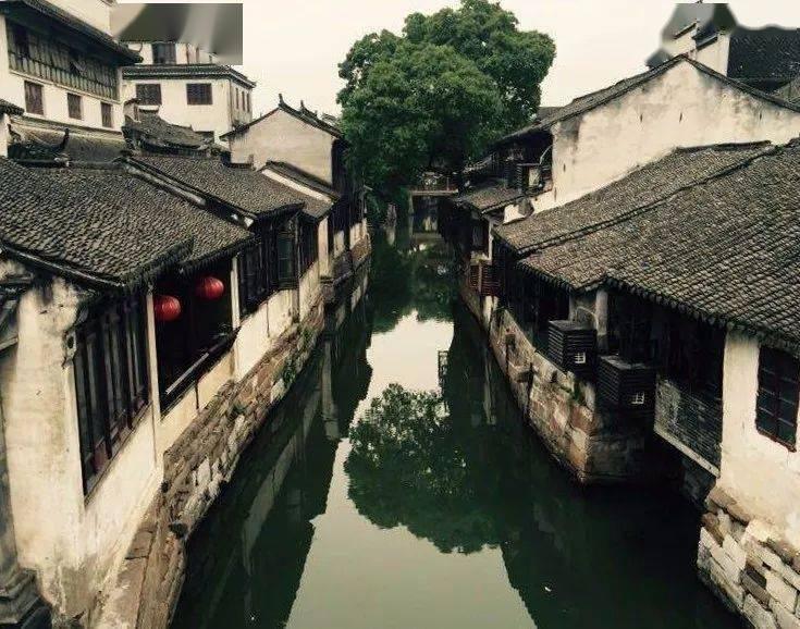 网游之大神莫挡路