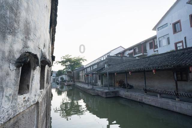 小汪汪