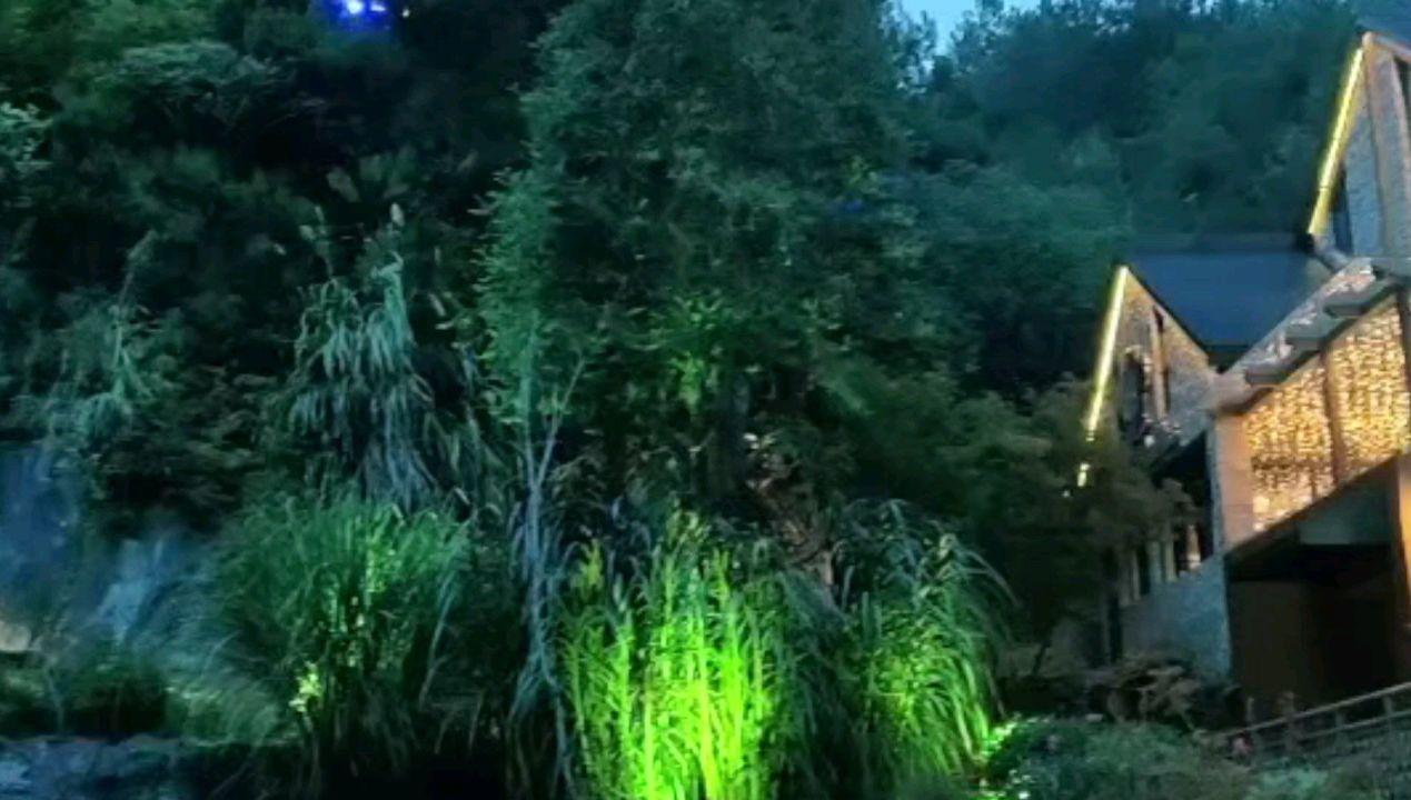 家庭意外